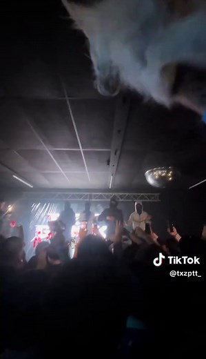Explore Party Themes and Ideas