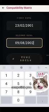 How to use Destiny matrix Chart App
