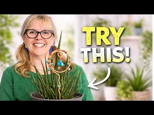 Make This Copper Plant Stick (Easy DIY Garden Decor)