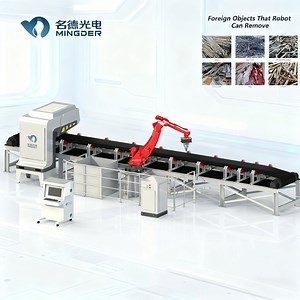 [Hot Item] Mine-Specific Intelligent Foreign Object Exclusion Robot for Ore Conveyors