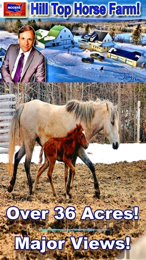 Maine Farm Big Barn House Land Views!