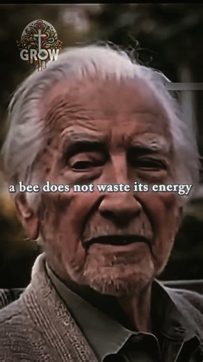 The Unconvinceable Will Always Disagree #reality #motivation