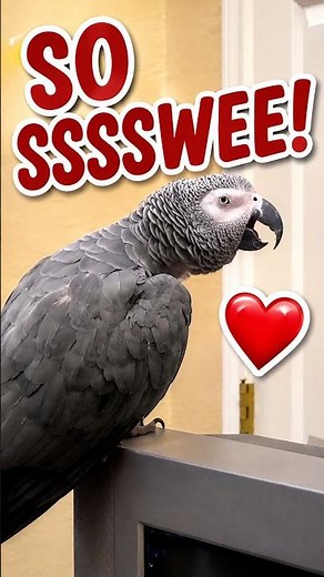 Kisses, “I love you,” and lots of sweet talk from Einstein! 🐦❤️