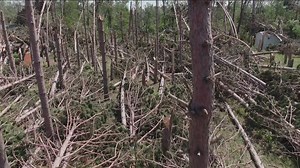 Gov. Walz surveys storm damage in Bemidji