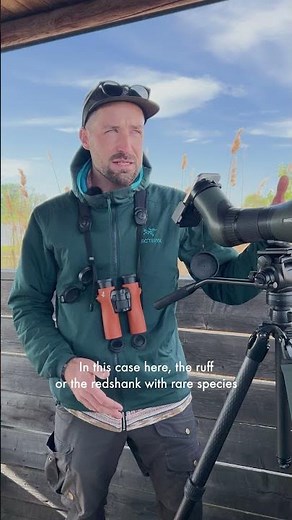 Tips for beginner birders 🐦