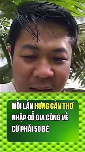 HƯNG CẦN THƠ NHẬP GÀ ĐÁ LẦN 50 CON | GAVUI ĐÁ GÀ #daga #gada #dagathomo #tructiepdaga #dagatructiep