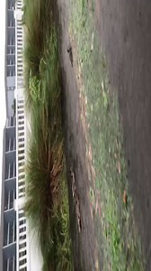 153K views · 2K reactions | Hurricane Florence has many worried, so Sue in Security sent this video of our NEW lazy river... Enjoy! See more video links on our Storm Info page: https://www.oceanlakes.com/storm-info/ | Ocean Lakes Family Campground | Facebook