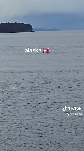 Humpback Whales: Fascinating Marine Giants of Alaska