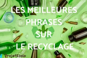 70 PHRASES DE RECYCLAGE - les meilleures phrases