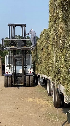 StarWalker Farms on TikTok