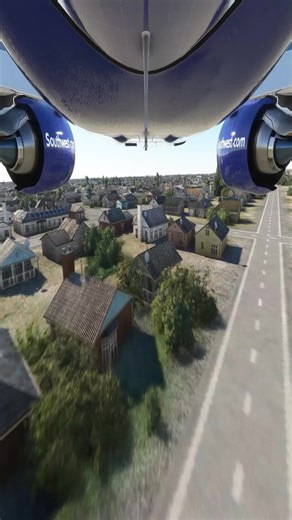 Emergency Landing: A Plane Crash Experience