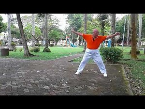 Taiji Qigong Shibashi ~ Set 5