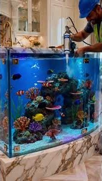 Would You Build This Aquarium Inside Your House?