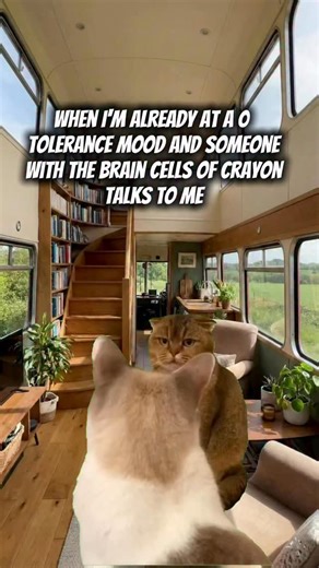 And not even the Crayola 64-pack... we’re talking broken restaurant crayons. 🖍️📉 #catmemes #relatable #introvertproblems #socialbattery #scottishfold | thesucculentshoppe