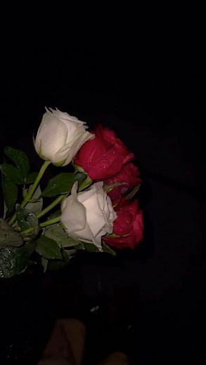 justbestieethings🩵 on Instagram: "what are you thinking?🫢"