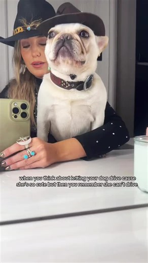 Hippie Mae Wilson lives a “ruff” life 🦴#laineywilson #dogsoftiktok #pitbulls #laineywilsonmusic