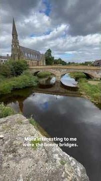 Morpeth - Beware of the Sheep