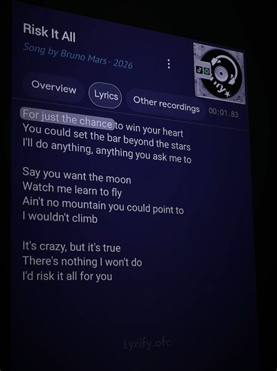 Risk It All karaoke lyrics - Bruno Mars (Risk It All Karaoke)