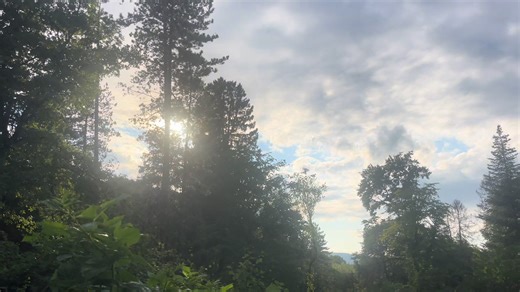 Vidéos de polar (@polar.wayy) avec Comfort Chain - Instupendo