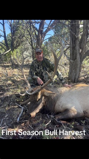 First bull down for Terry and he got it done with his son Ty right there beside him! Moments like this remind us what it’s all about… family, the mountains, and the thrill of the hunt. Great hunts, great friends, and memories that last a lifetime! That’s why we love to do it. 🏔️ #MountainHighRanch #ElkHunt #FirstBull #ColoradoHunting #MountainHighMoments