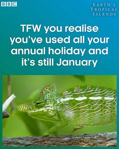 Whhhyyyyy? 😢 #EarthsTropicalIslands | BBC Earth