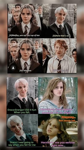 Draco Tried to Flirt With Hermione… Ron Was Not Having It 😂 | Harry Potter Meme