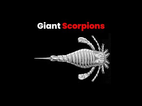When Giant Scorpions Ruled the Ocean