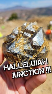 We are still riding a high from last weekend's dig trip to Hallelujah Junction!!!! 🖤⚒️ This remote mountaintop on the border of California and Nevada produces some of the world's most iconic scepters...and this year's trip was SO, so good to us! . From rattlesnakes, to giant Mormon crickets, to SO MANY JUICY POCKETS filled with smoky quartz, amethyst, and scepters...there were definitely some fun surprises! 🤠🐍🐜💎⚒️✨️ . ((We're sending out a HUGE THANK YOU to the owners for the privilege of t