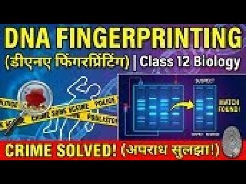 DNA Fingerprinting Class 12 Biology | Crime Case Example से समझें पूरा Process | NCERT Explanation