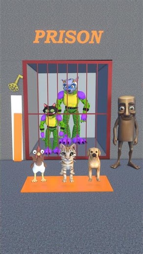 HELP#dog #cat #chicken #funny #shots