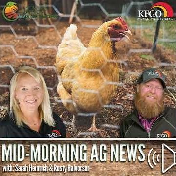 Mid-morning Ag News, January 21, 2026: Chicken demand remains strong