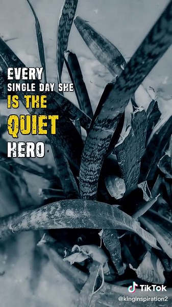 The Unmatched Power of a Mother's Love