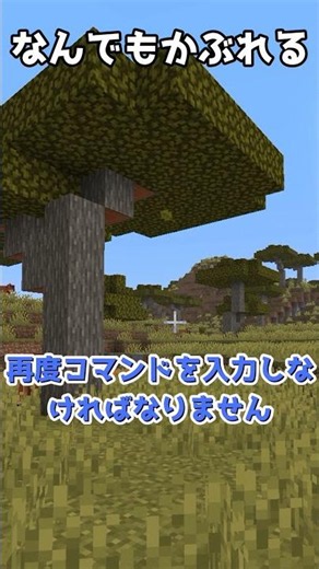 なんでも頭に装備できるようにする方法 #マイクラ #マインクラフト