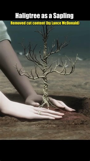 Haligtree as a Sapling & Now 🌲 #eldenring