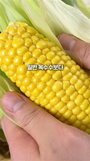 다이어트 하는데.. 달달한게 땡겨요