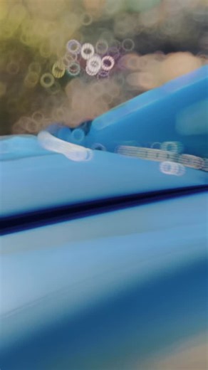 GMMG Registry on Instagram: "Carl Black 35th Anniversary no.19 475hp by GMMG #gmmg #fbody #4thgentransam #transam #pontiac"