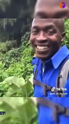 Edward: Best EXP in M7 - Top 5 Plays Revealed!