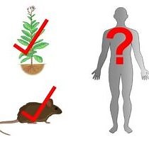 Serie: Gentechnik und rekombinante DNA-Technologie