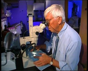 医学神探 elemental clue