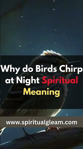Why do Birds Chirp at Night Spiritual Meaning #birdchirping #spiritualgleam #spiritualgleam
