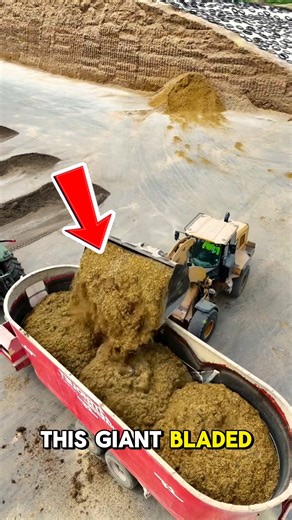 This Giant Mixer Changes How Cows Are Fed This giant feed mixer is transforming cattle farming by blending hay, silage, grains, and supplements evenly in one powerful system. It improves nutrition consistency, boosts digestion, and saves massive labor time—helping farmers increase milk yield, animal health, and overall farm productivity with precision feeding technology. Credits: @ mangoloco1992 / iG #AgriTech #FarmMachinery #LivestockInnovation #technology #tech | Drive Mac