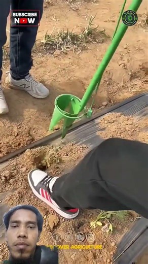 Simple Manual Vegetable Planting Tool#handmade #farmingprocess