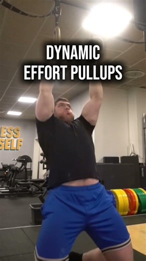 Full Throddle Workout