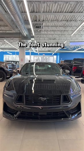 Stunning Ford Car Features You Can't Miss