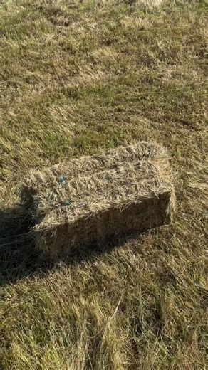 Equis Lodge on Reels