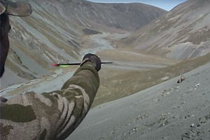 Tim Wells Makes a 130-Yard Bow Shot on a Running Tahr