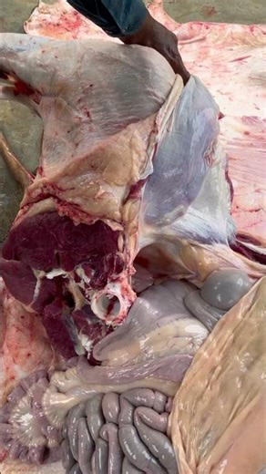 Cow's meat slicing skills #meatmarket #youtubeshorts #meatcuttingtechniques