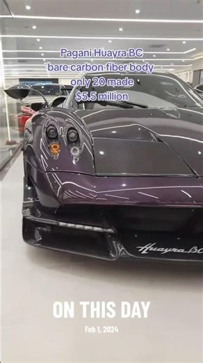 Pagani Huayra BC 2 tone exposed carbon fiber body