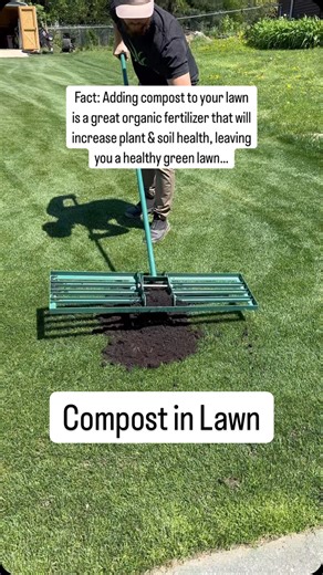 69K views · 537 reactions | Top dressing or applying a light layer...