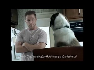 If "Anti-Drug" Commercials were Real Life - Commercial Classics